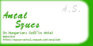 antal szucs business card